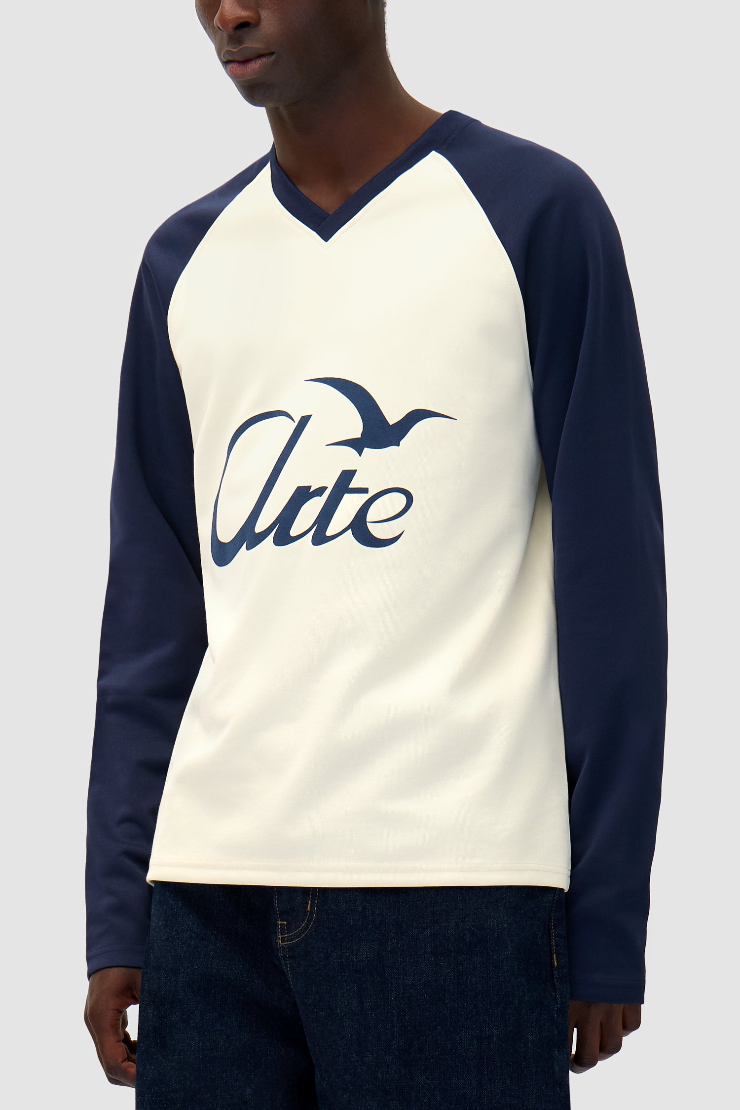 Detail view of Bird Logo Longsleeve in Navy/Cream