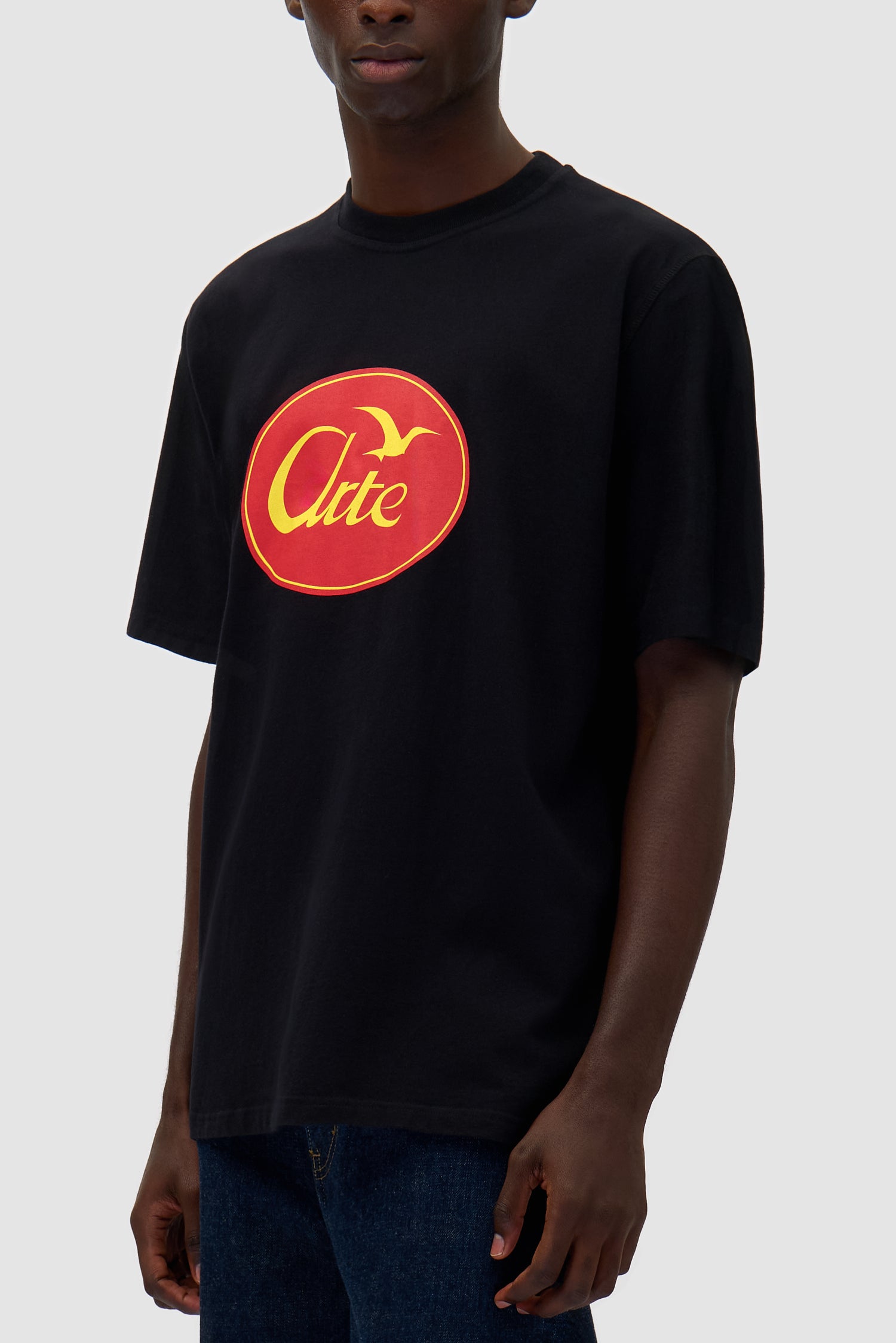 Detail view of Big Bird Logo T-shirt in Black