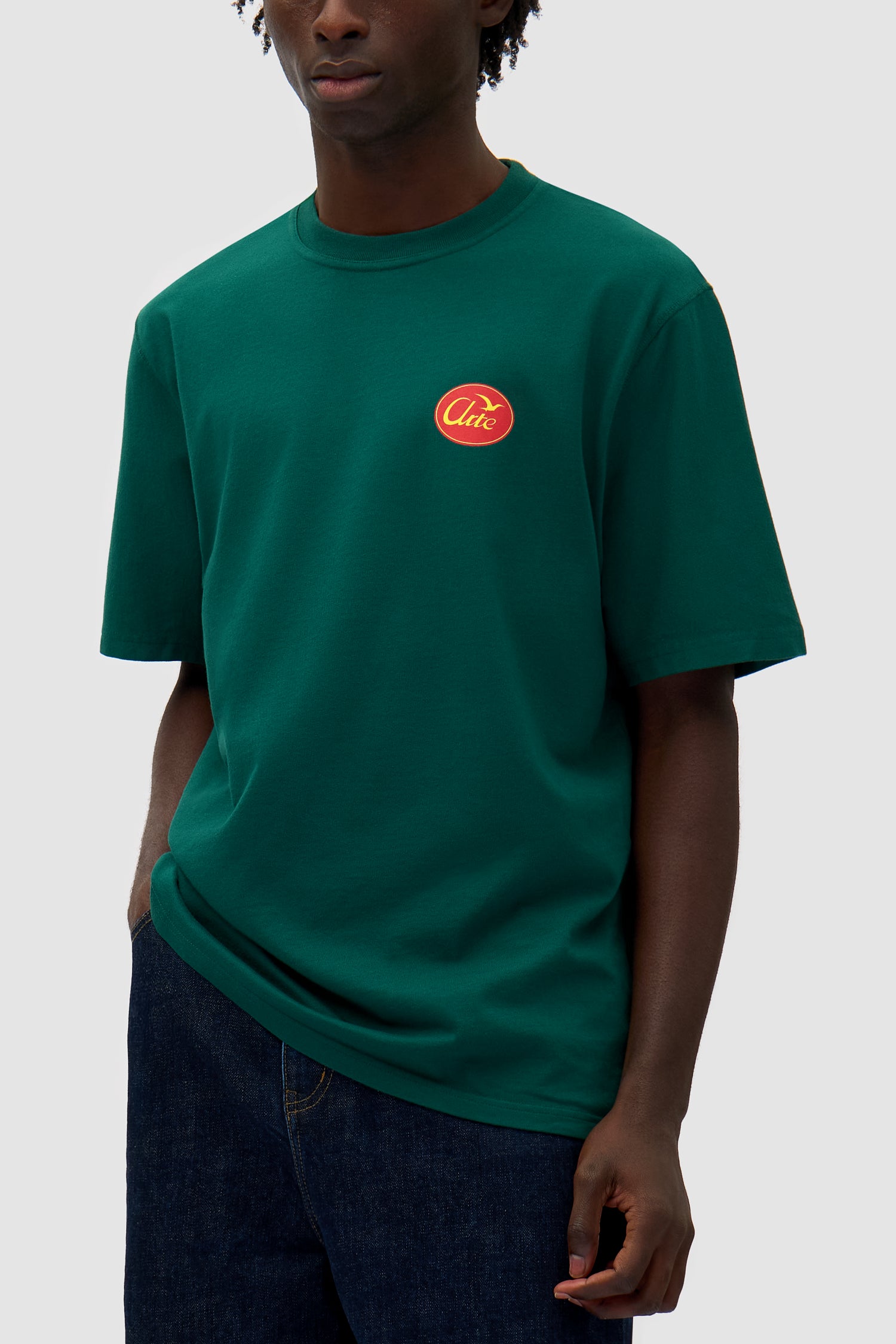 Small Bird T-shirt in Green worn by a model, full-body back view