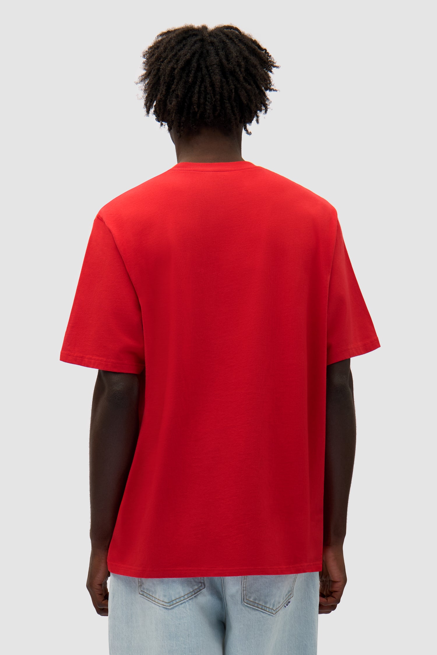 Small Bird T-shirt in Red worn by a model, half-body back view