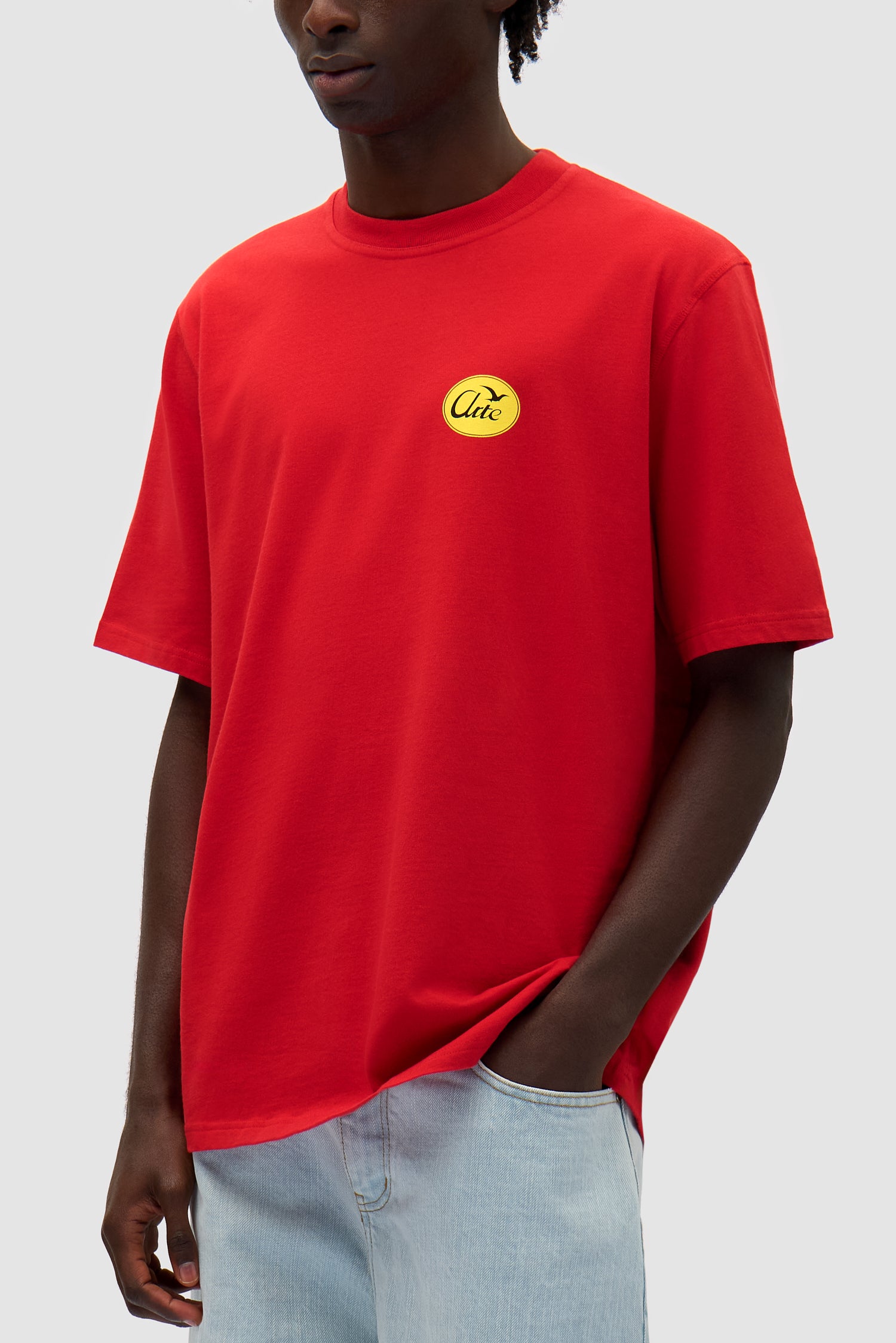 Small Bird T-shirt in Red worn by a model, full-body back view