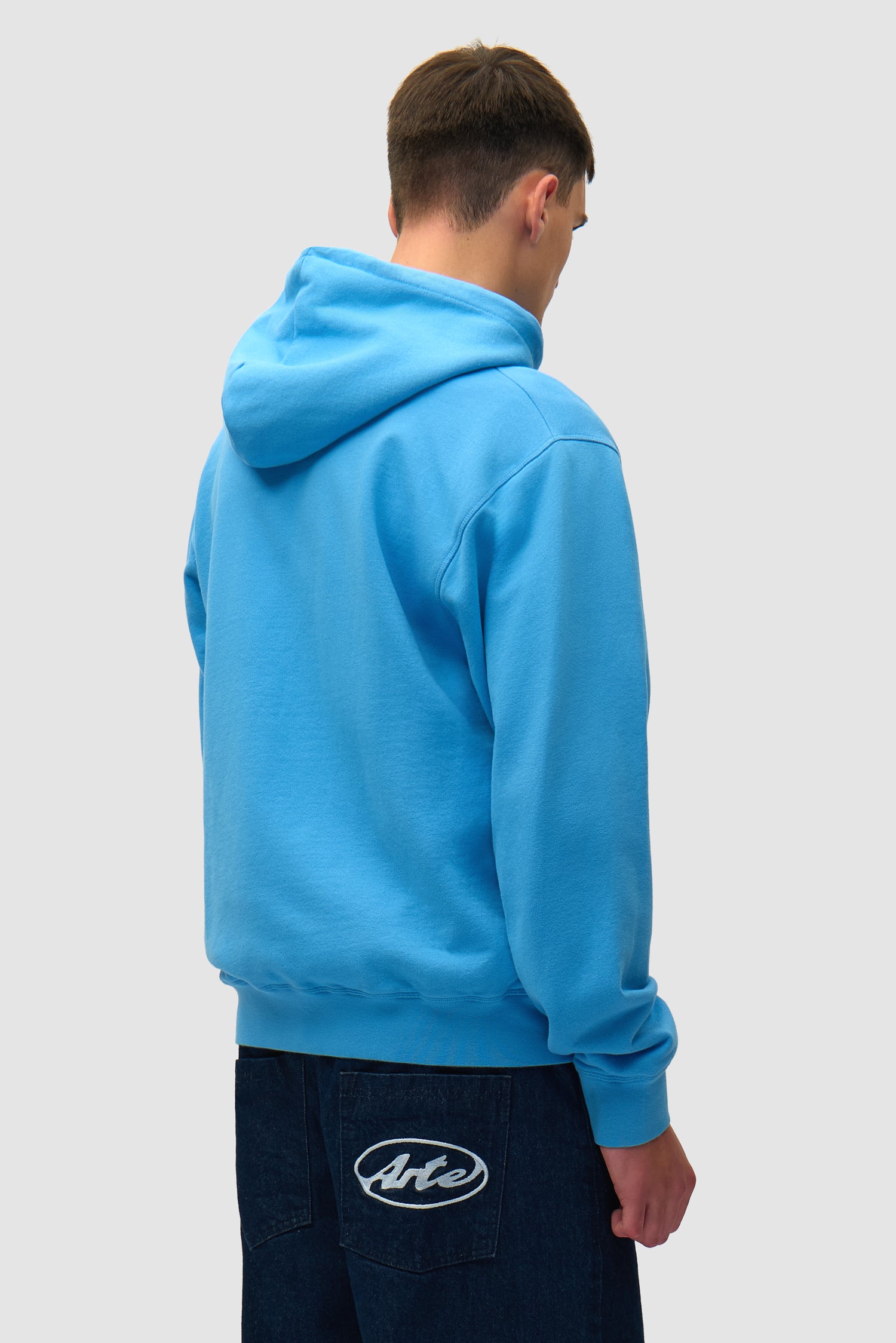 Collage Logo Hoodie in Blue worn by a model, half-body back view