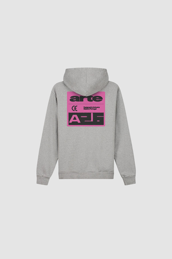 Pink Serial Hoodie in Grey, front view