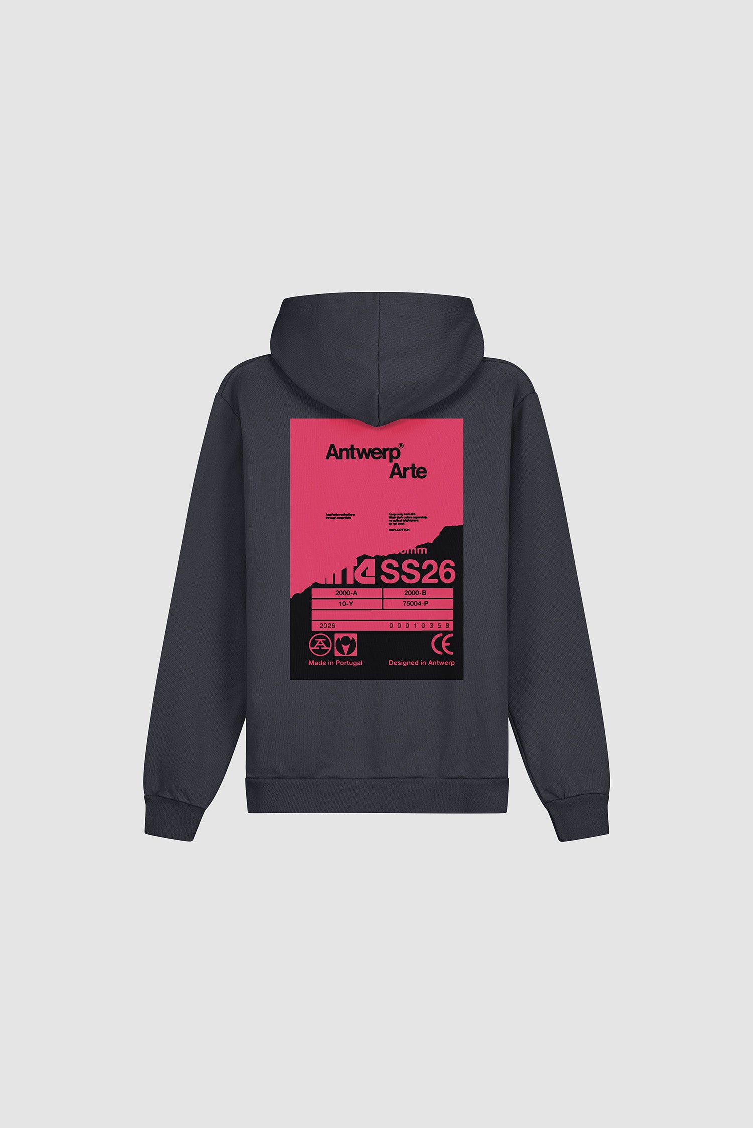 Back Poster Hoodie in Navy, back view