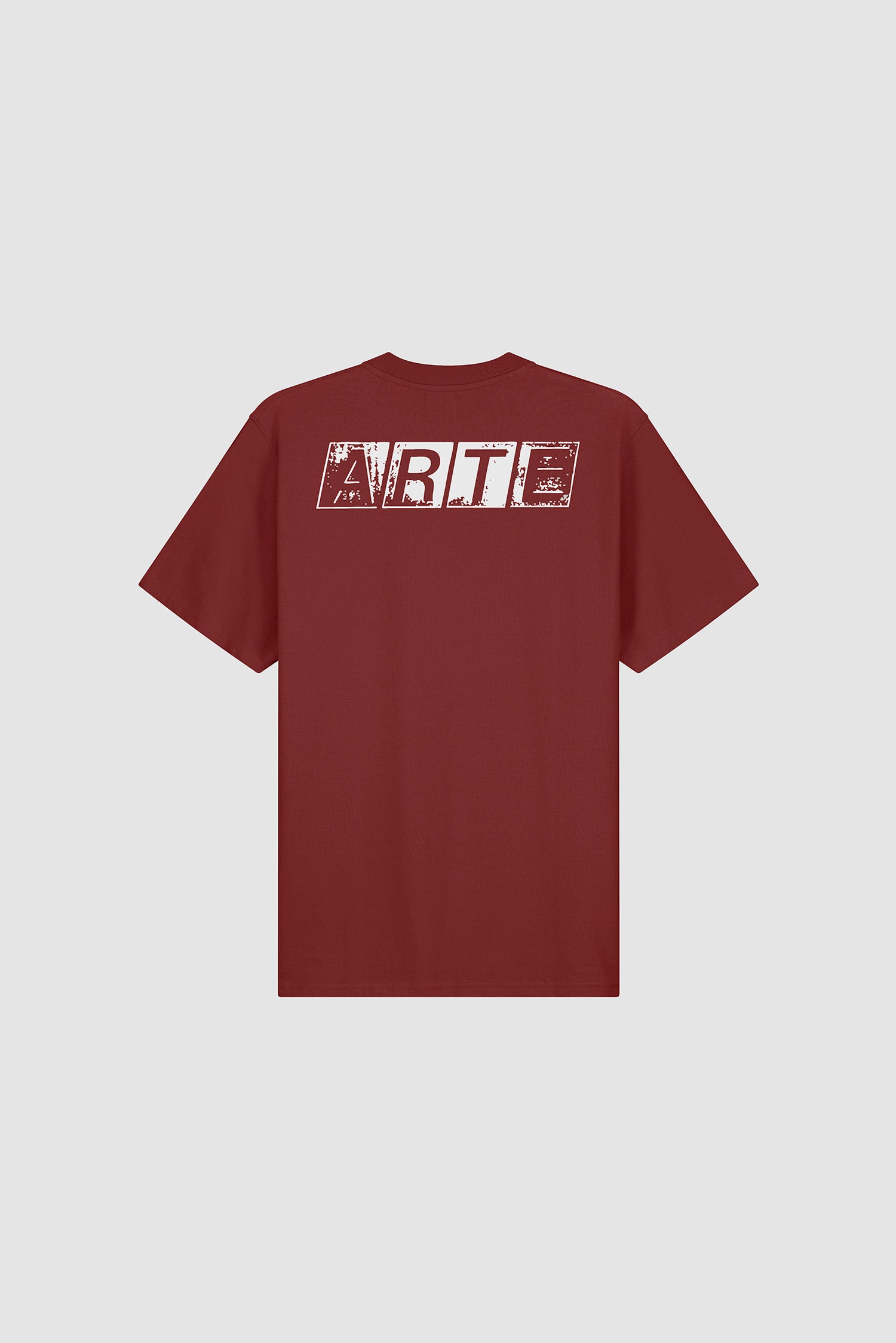 T-shirt délavé avec imprimé dans le dos, couleur bordeaux, vue de dos