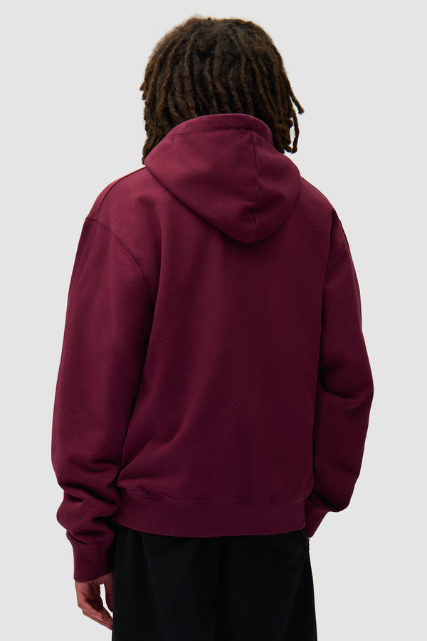Arte Pixel Hoodie in Bordeaux worn by a model, half-body back view