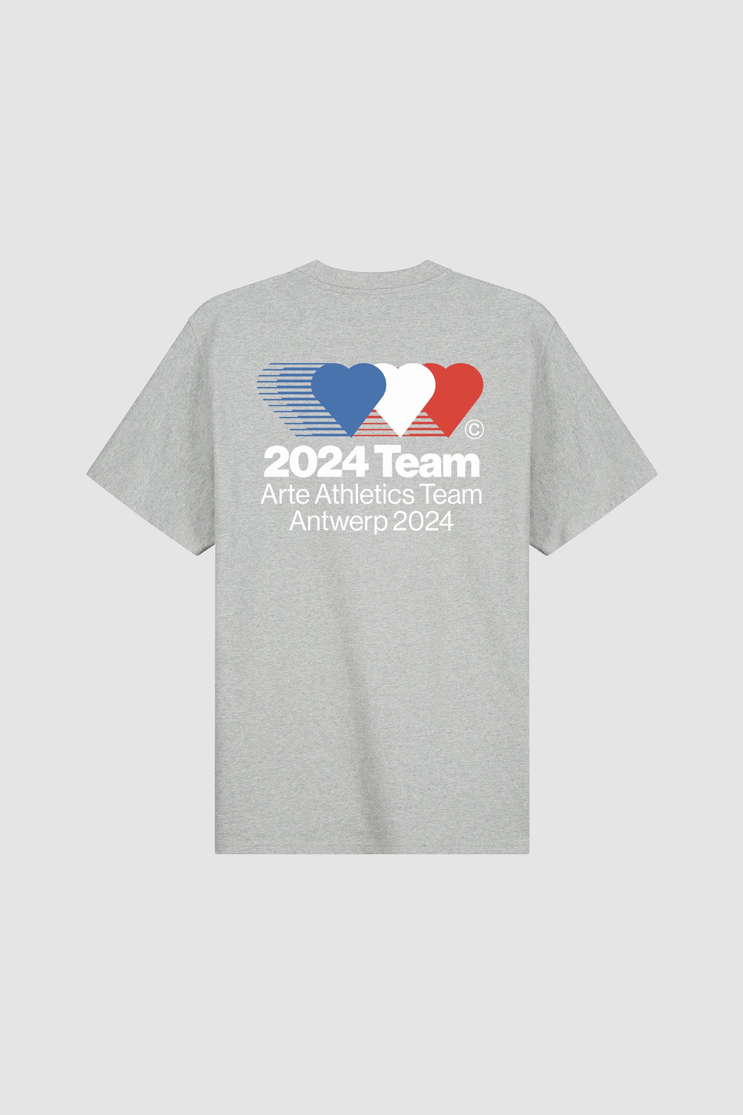 Teo Back Team T-shirt - Grey
