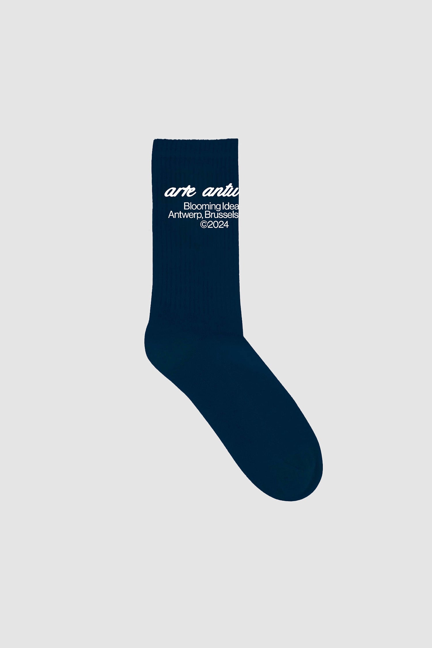 Arte Antwerp Socks - Navy