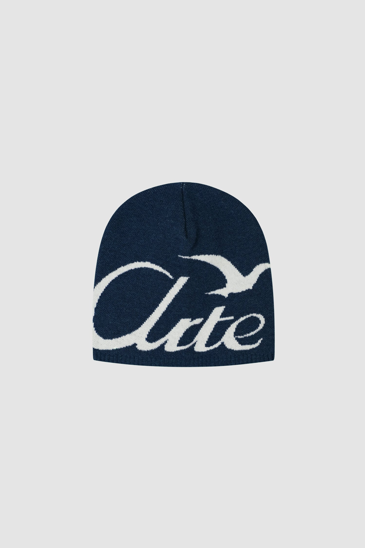 Bird Logo Side Beanie - Navy