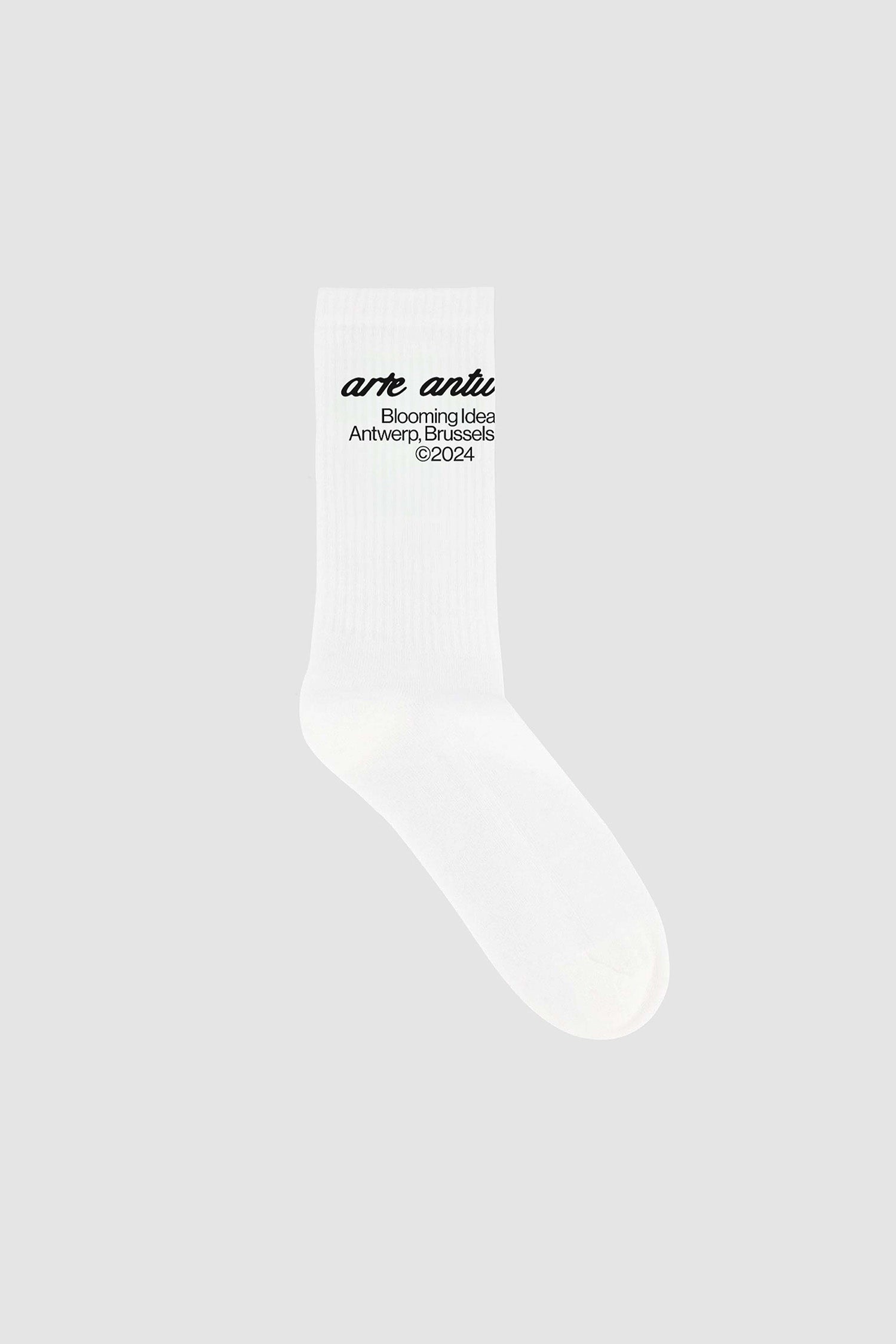 braidsnwaves Socks - White